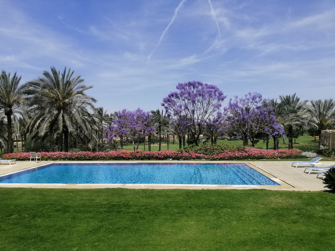 Garden & Outdoor area 