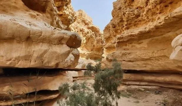 Wadi Degla Reserve